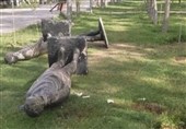 سقوط مرگبار مجسمه 300 کیلویی بر سر نوجوان اراکی/ رئیس سازمان پارک‌ها برکنار شد