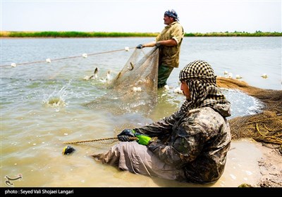 مرکز آبزی پروری با پرورش ماهیان گرمابی