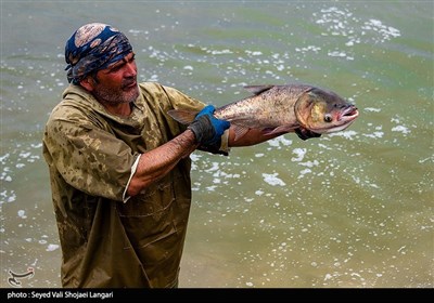 مرکز آبزی پروری با پرورش ماهیان گرمابی