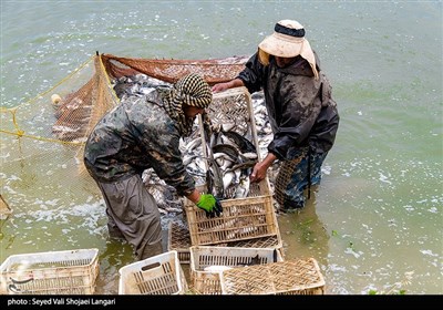 مرکز آبزی پروری با پرورش ماهیان گرمابی