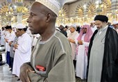 تصاویر حضور سرپرست حجاج ایرانی در مسجد النبی