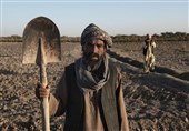 هشدار سازمان ملل درباره کمبود مواد غذایی در افغانستان