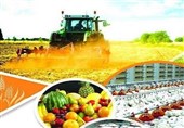 تجهیز و نوسازی 90 هکتار از اراضی کشاورزی سیستان و بلوچستان
