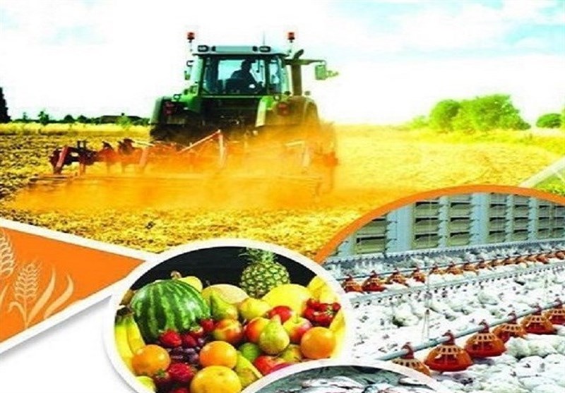 ورود دانشگاه آزاد سیستان و بلوچستان به کشاورزی صنعتی