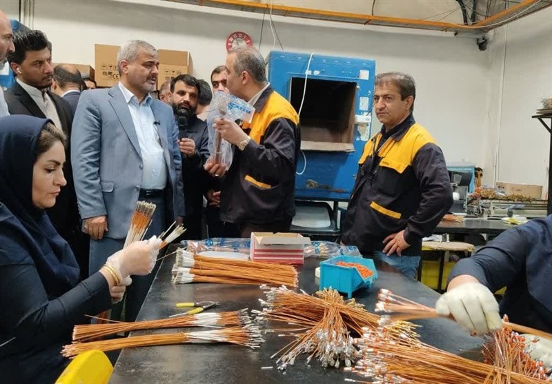 احیای 2 واحد تولید فولاد با حمایت دادگستری تهران/ از بیکاری 400 کارگر جلوگیری شد