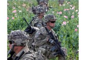 نگرانی اندیشکده وابسته به کنگره آمریکا از مبارزه با مواد مخدر در افغانستان