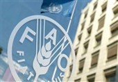 Iran Becomes Largest Dairy Exporter in Asia: FAO
