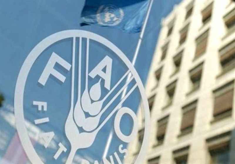 Iran Becomes Largest Dairy Exporter in Asia: FAO