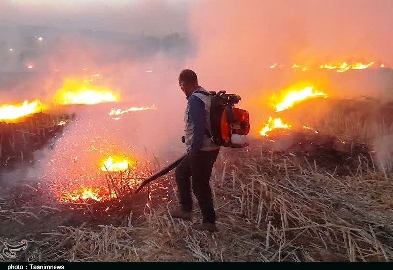 تداوم حریق در اراضی لرستان/ 4 هکتار مرتع در آتش سوخت