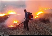 گسترش حریق در اراضی پلدختر/ نیروهای کمکی برای مهار آتش‌سوزی اعزام شوند