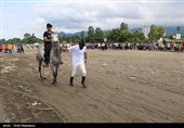 مسابقه سوارکاری کورس بهاره در ساحل چابکسر