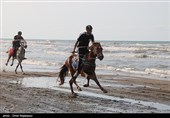 مسابقه سوارکاری کورس بهاره در ساحل چابکسر