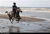 مسابقه سوارکاری کورس بهاره در ساحل چابکسر