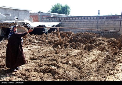  سیل شدید در روستای "قره چریان" زنجان/ یک نوجوان ۱۲ ساله فوت شد/ خسارت ۸۰ درصدی به باغات و مزارع 