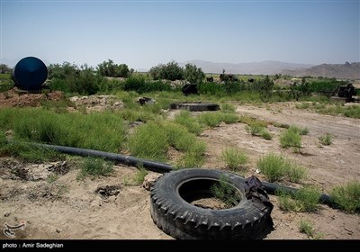 رخت خشکی برتن دریاچه بختگان فارس