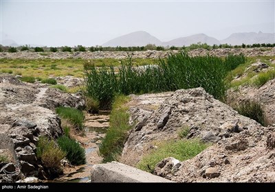 رخت خشکی برتن دریاچه بختگان فارس