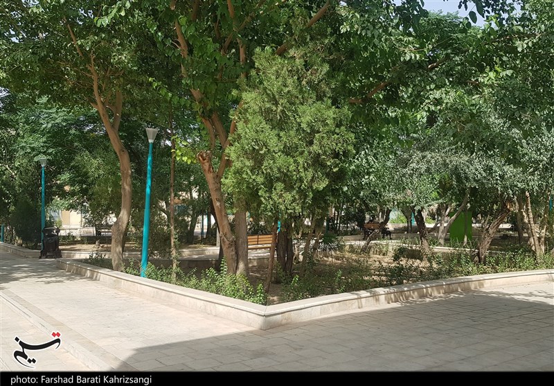 بازپس‌گیری 52 هزار مترمربع زمین توسط شهرداری تهران/ توقف ساخت‌وسازهای غیرمجاز در منطقه 19