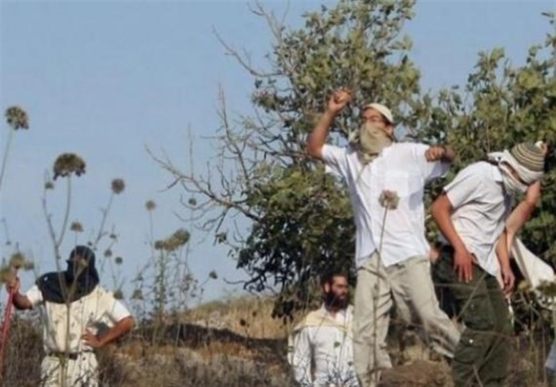 فلسطين،صهيونيستي،رژيم،باختري،كرانه،محكوم،صلح،فلسطينيان،روستا ...
