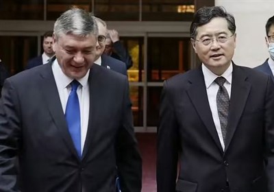 چین از حفظ ثبات ملی روسیه اعلام حمایت کرد