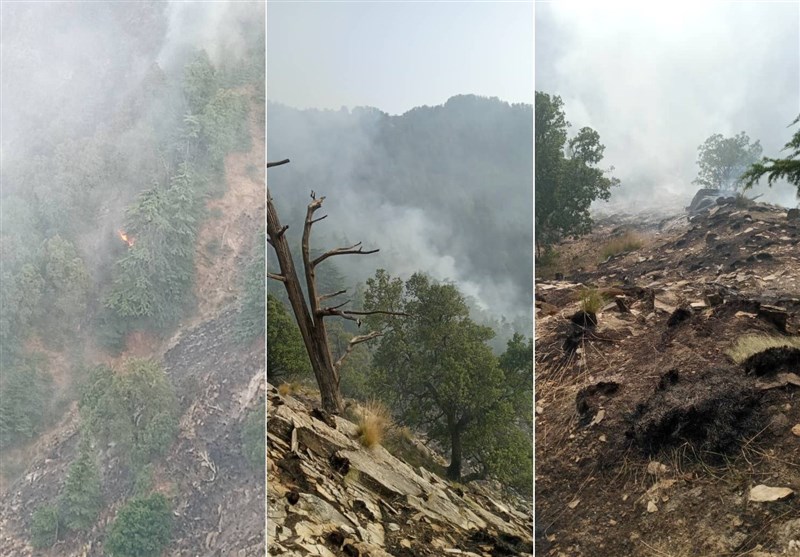 افغانستان| آتش‌سوزی در «کنر» 14 هکتار جنگل و مرتع را نابود کرد