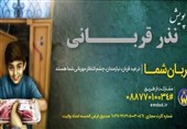 اجرای طرح پویش نذر قربانی در استان البرز