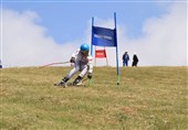معرفی نماینده ایران در مسابقات اسکی چمن جوانان جهان