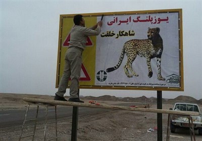  منتظر "انقراض یوزپلنگ ایرانی" نشسته‌ایم؛ فنس‌کشی جاده عباس‌آباد ـ میامی بماند برای وقتی دیگر! 