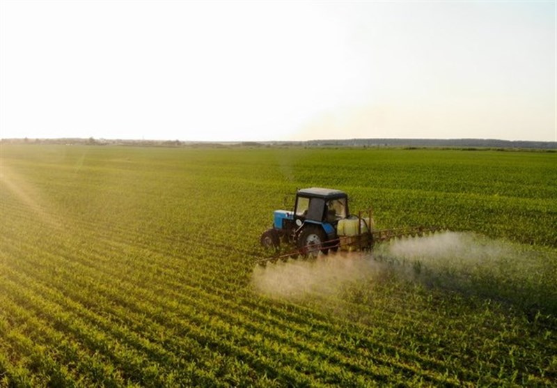 EU’s Main Fertilizer Producer Faces Closure Due to Western Sanctions
