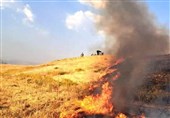 5 حریق مزارع کوهدشت در یک روز/ آتش‌سوزی در اراضی لرستان ادامه دارد