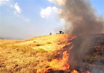  خسارت ۴۵ میلیارد تومانی حریق به اراضی لرستان/ ۷۹۷ هکتار در آتش سوخت 