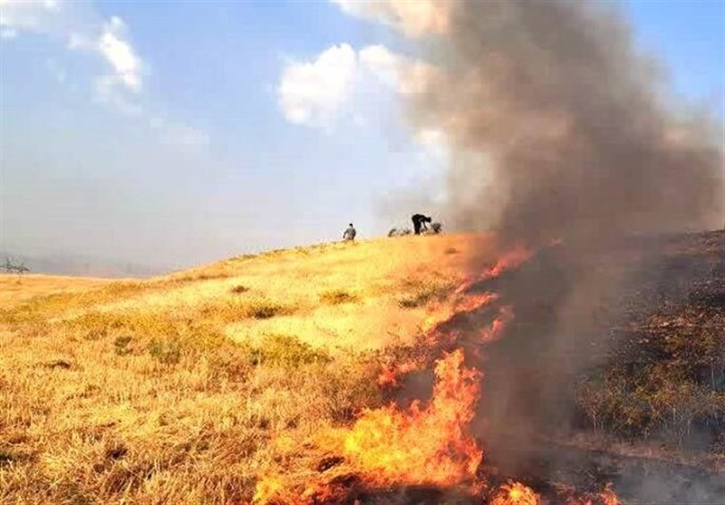 کوهدشت، خرم‌آباد و چگنی در صدر آتش‌سوزی مزارع لرستان