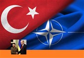 تحلیلگر ترکیه‌ای: حمایت اردوغان از پیوستن اوکراین به ناتو شوک آور بود
