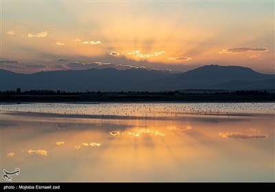 آذربایجان غربی دارای 6 تالاب بین المللی است که در کنوانسیون رامسر ثبت شده اند.