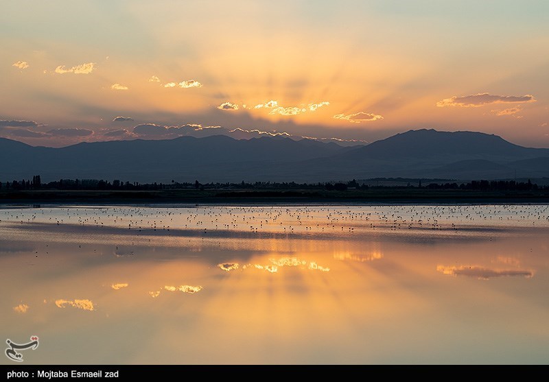 افزایش 10 درصدی وسعت آب &quot;دریاچه ارومیه&quot; نسبت به سال گذشته + عکس
