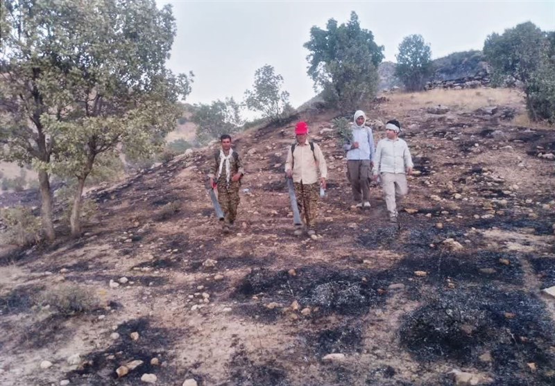 حریق ادامه‌دار در مزارع کوهدشت/ 65 هکتار در آتش سوخت