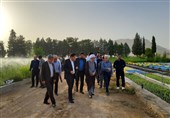 قدردانی امام جمعه شیراز از طرح مردمی کاشت یک میلیارد درخت