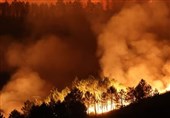 Europe Braces for Record Heatwave As Fires Ravage La Palma