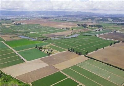 صدور 3400 سند حدنگار زراعی در استان اردبیل آغاز شد