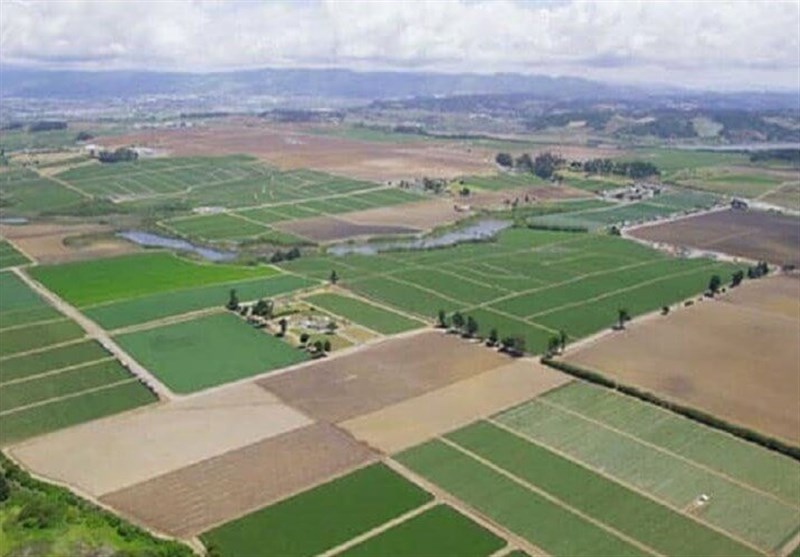 تجمیع و یکپارچه‌سازی 46 هکتار از اراضی کشاورزی سرعین
