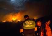آتش سوزی در جزایر قناری اسپانیا بیش از 5 هزار هکتار زمین را نابود کرد