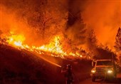 Heatwaves, Wildfires Grip World As Extreme Weather Persists