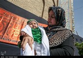 مراسم شیرخوارگان حسینی در قزوین 