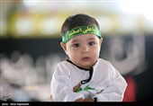 مراسم شیرخوارگان حسینی در مشهد 