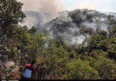 روایت خبرنگار ‌تسنیم از آتش‌سوزی‌ ‌34 ساعته جنگل‌های مریوان/ هنوز آتش ‌مهار نشده است + فیلم