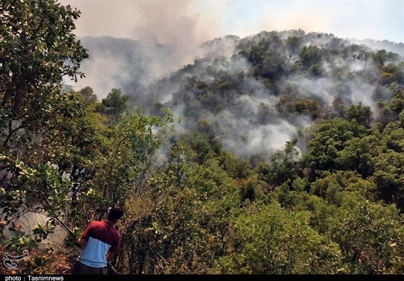 روایت خبرنگار ‌تسنیم از آتش‌سوزی‌ ‌34 ساعته جنگل‌های مریوان/ هنوز آتش ‌مهار نشده است + فیلم