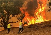 آمار تلفات آتش سوزی‌ها در الجزایر افزایش یافت
