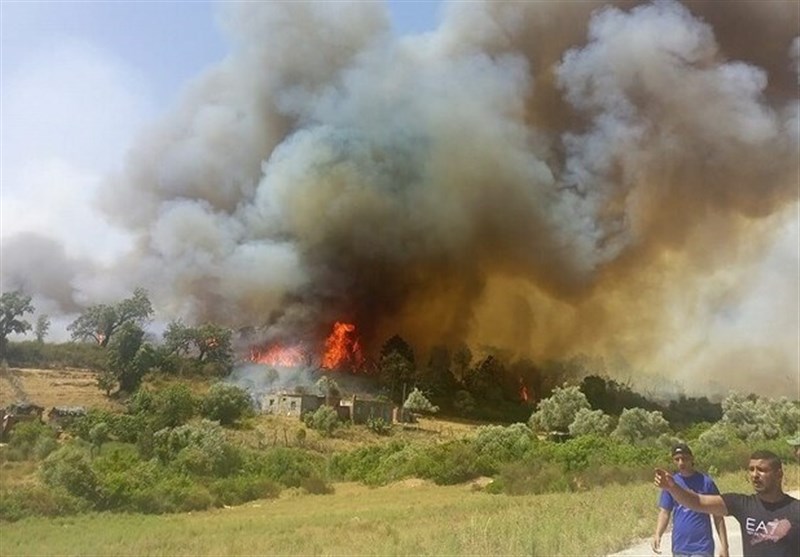 150 مصدوم در آتش سوزی جنگل‌های تونس