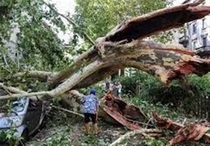 خسارات فراوان طوفان و آتش سوزی جنگلی گسترده در شمال ایتالیا