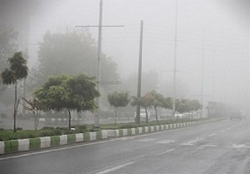 شرجی هوا در استان بوشهر به 92 درصد رسید/ صدور هشدار دریایی