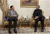 دیدار سفیر چین با علی باقری